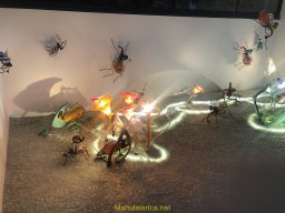 Exposición de Flyppy 2023